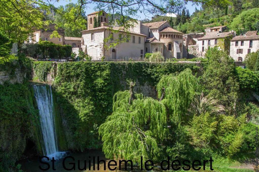 Saint-Jean-de-Fos Charmante Cave Voutee 4 Personnes מראה חיצוני תמונה
